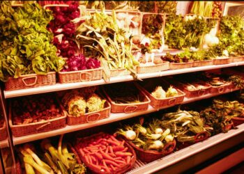 La dieta per la testa, i cibi utili per la salute del cervello