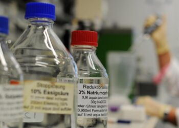 Scoperto un meccanismo molecolare di una sindrome del neurosviluppo