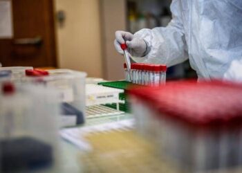 Covid, negli Usa avanza la variante Cicada: perché BA.3.2 preoccupa gli esperti