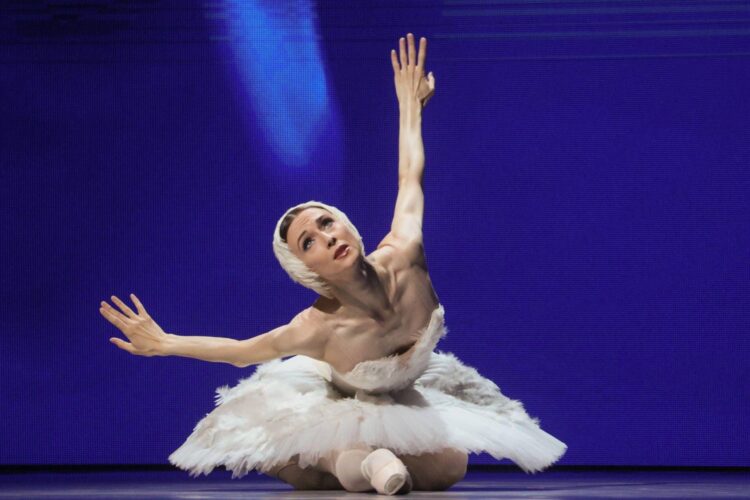 Roberto Giovanardi: “Amareggiato per Svetlana Zakharova, spero Buttafuoco tenga duro alla Biennale”