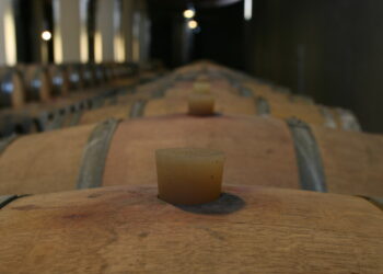 Uiv-Vinitaly, export made in Italy punti sul valore +3,5% in tre anni