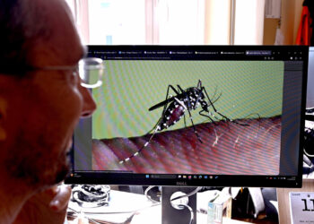 West Nile, Iss ‘da febbraio al 28 luglio 84 casi e due decessi’