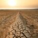 Super El Niño, prezzi del cibo su fino al 2028: la spesa degli italiani rischia un +15,8%