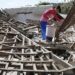 Terremoto in Indonesia, le autorità esortano all’evacuazione delle zone costiere
