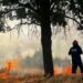 Incendio nel Frusinate, vicino al santuario della Madonna della Guardia