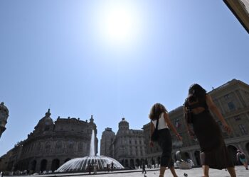 Tetti verdi e prati al posto dell’asfalto, città contro il caldo
