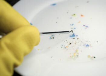 Microplastiche nel sistema nervoso, si apre una nuova pista sulla Sla