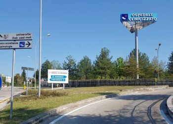 West Nile, donna ricoverata a Chieti punta da zanzara autoctona