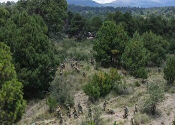 Allarme incendi e deforestazione, il Messico corre ai ripari