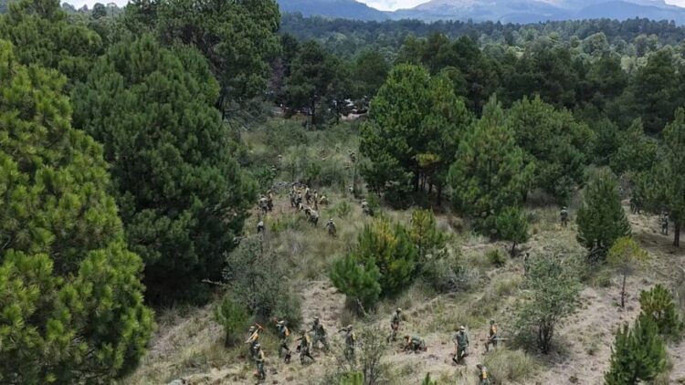 Allarme incendi e deforestazione, il Messico corre ai ripari