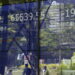 Borsa: Tokyo, apertura in calo (-0,52%)