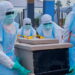 Ebola, oltre 2.000 morti nella Repubblica Democratica del Congo