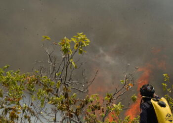 Colombia, 16 incendi boschivi attivi in cinque dipartimenti