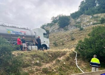 Vasche vuote all’alpeggio, Protezione civile salva animali al pascolo