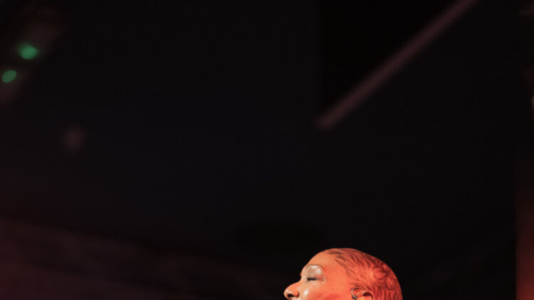 Amii Stewart, ‘cinquant’anni di musica e lo sguardo sul presente’