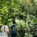 Pillon, i ‘bimbi del bosco’ a Palmoli per poche ore la prossima settimana