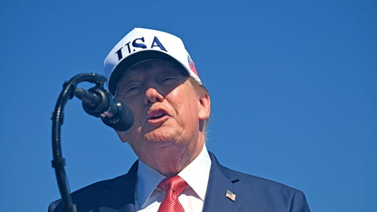 Trump: ‘Il partito populista AfD ha vinto in Germania, sono in ascesa’
