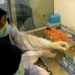 Anthropic blocca l’uso dell’IA per ricerche su armi biologiche