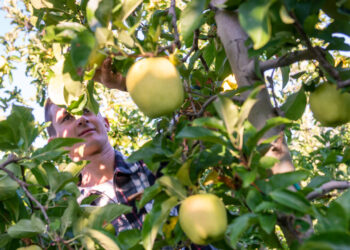 Melinda chiude il 25/26 con il liquidato ai soci più alto della sua storia